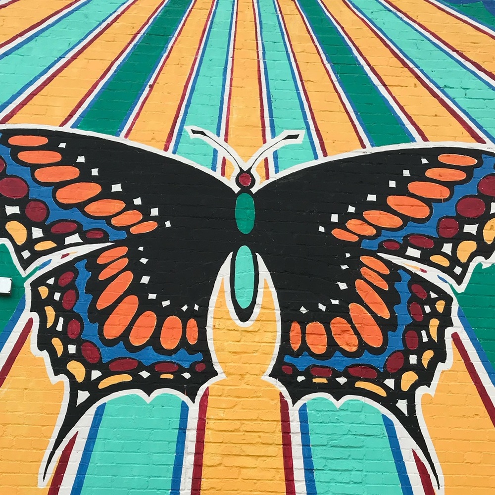 Meet your Posher, Haley